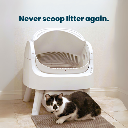 Self Cleaning Litter Box