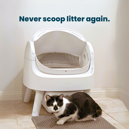 Self Cleaning Litter Box