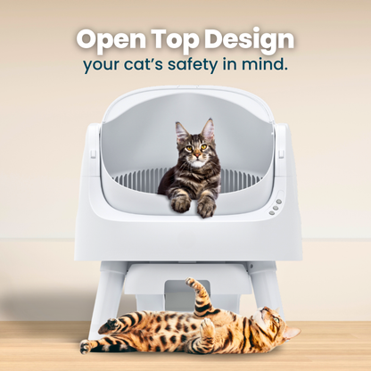 Self Cleaning Litter Box