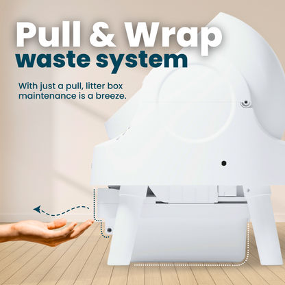 Self Cleaning Litter Box
