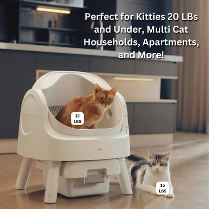 Self Cleaning Litter Box